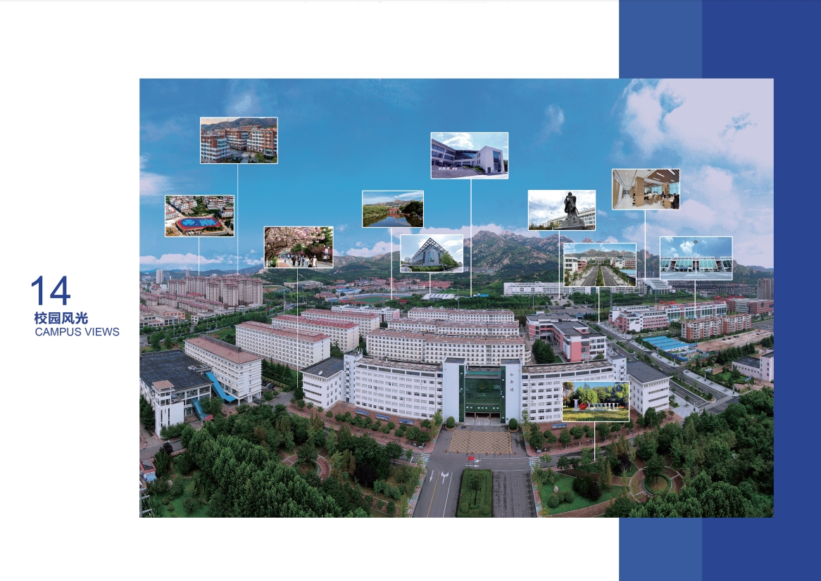 2023年开元集团网站宣传册