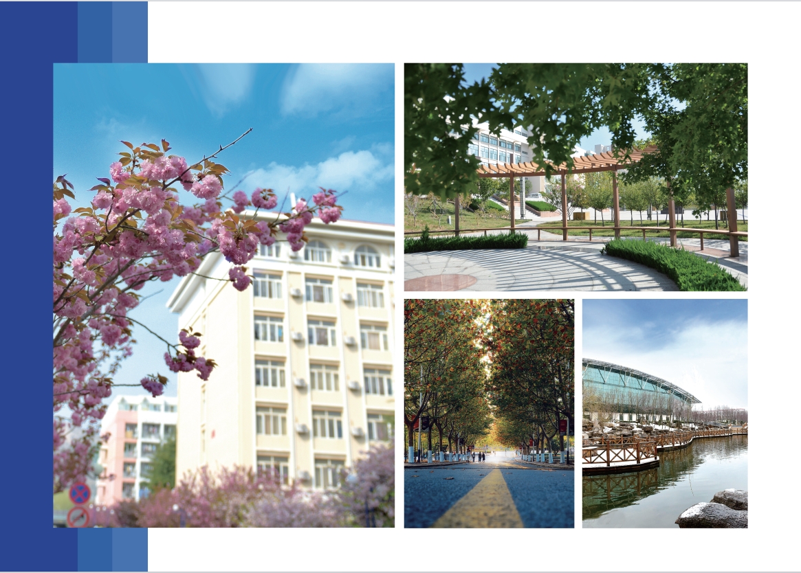 2023年开元集团网站宣传册