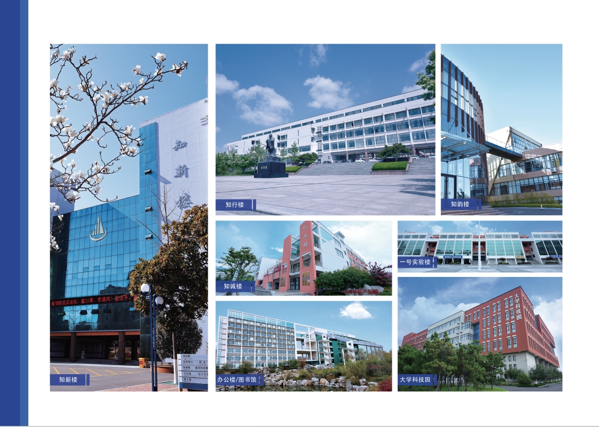 2023年开元集团网站宣传册