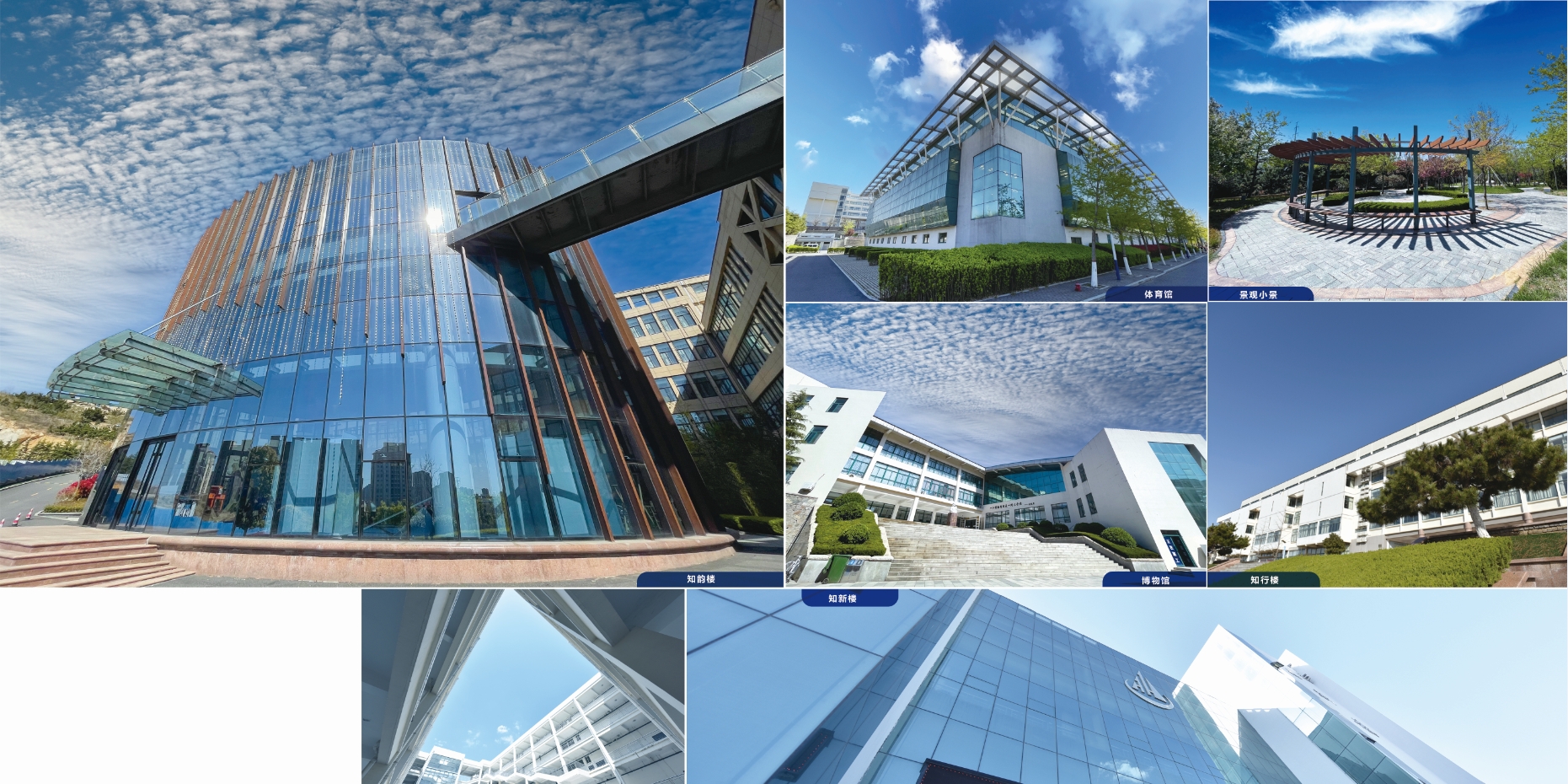 2021年开元集团网站校庆宣传册