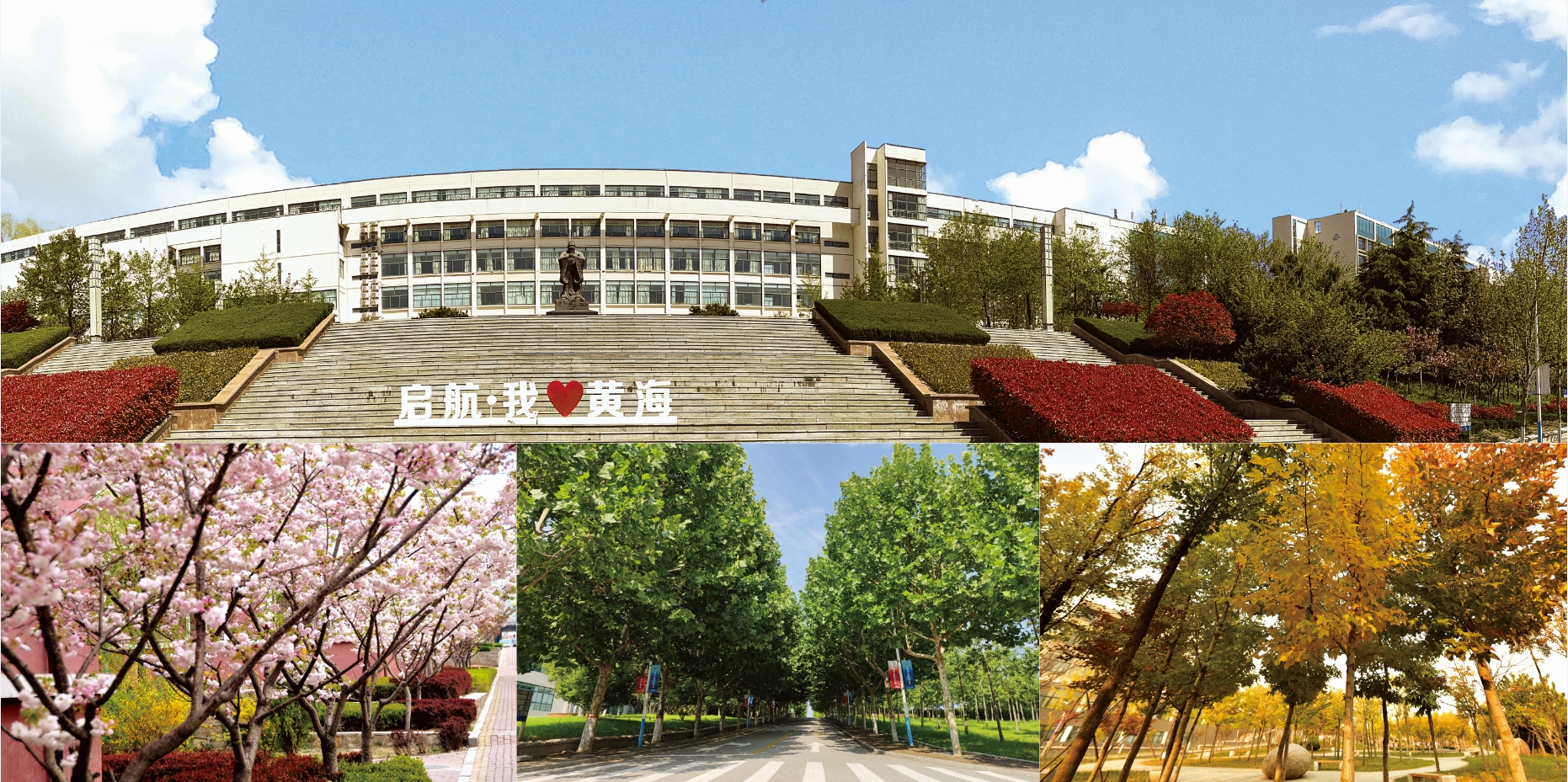 2021年开元集团网站校庆宣传册