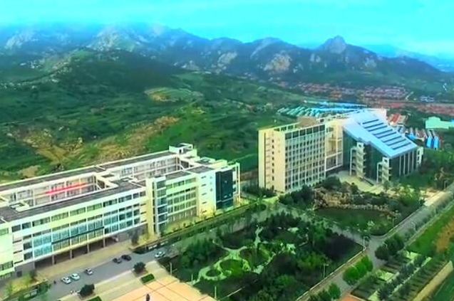 开元集团网站2018年宣传片